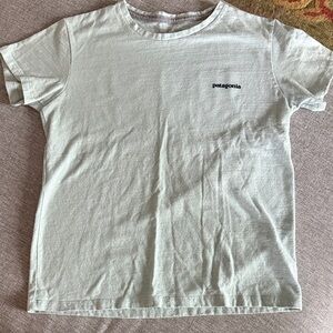 Patagonia Crew Neck Tee in Sage Green with Small Logo